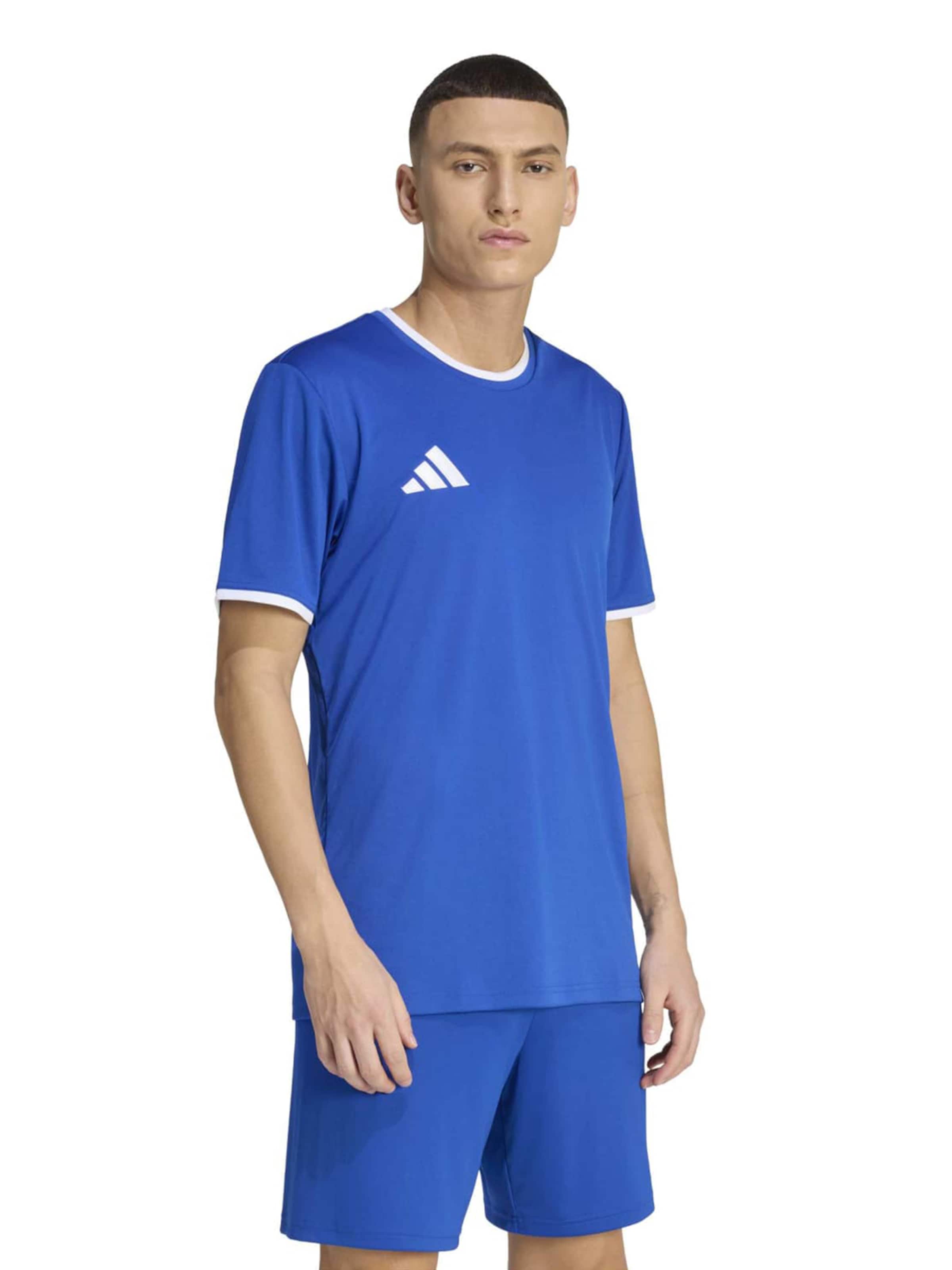 ADIDAS PERFORMANCE Λειτουργικό μπλουζάκι 'ENT26' σε μπλε: μπροστά