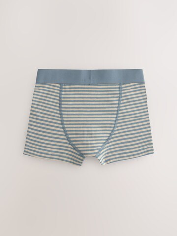 Next Badehose in Mischfarben