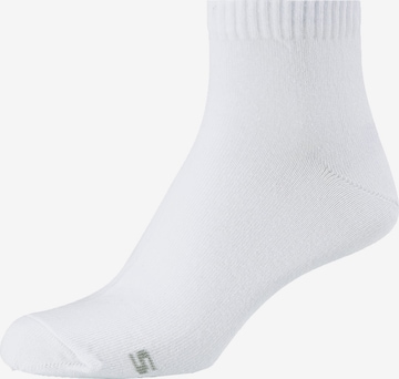 SKECHERS Socks 'Houston, 18er-Pack' in White: front