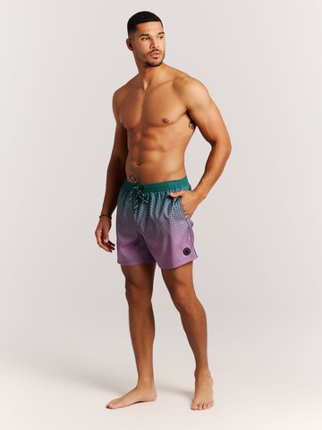 PROTEST Board Shorts 'PRTNorthaw' in Green