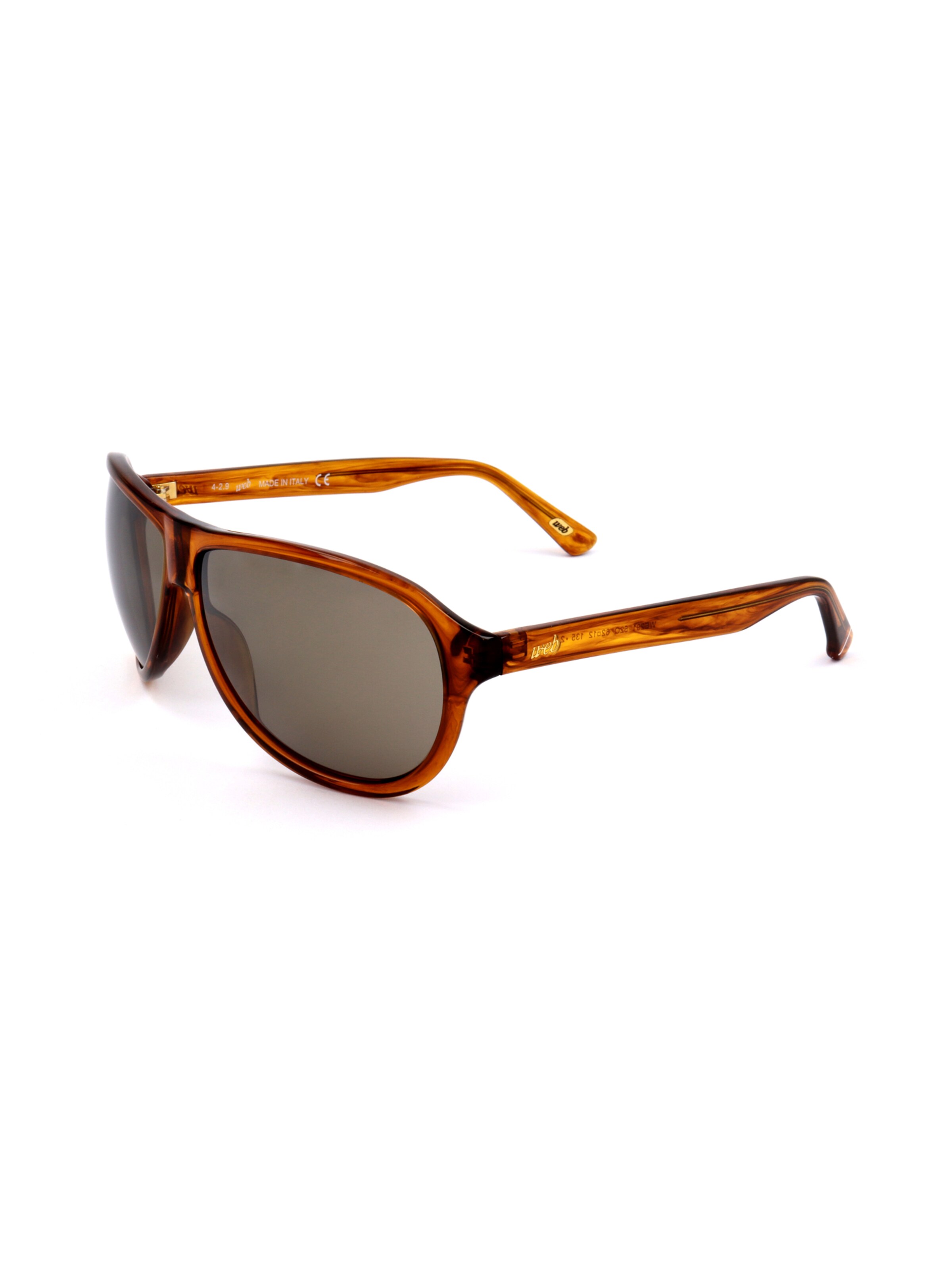 Occhiali da sole 'WE0291' di Web Eyewear in marrone