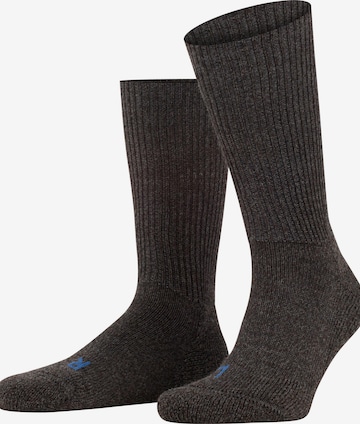 FALKE Socks 'Walkie Ergo' in Grey: front