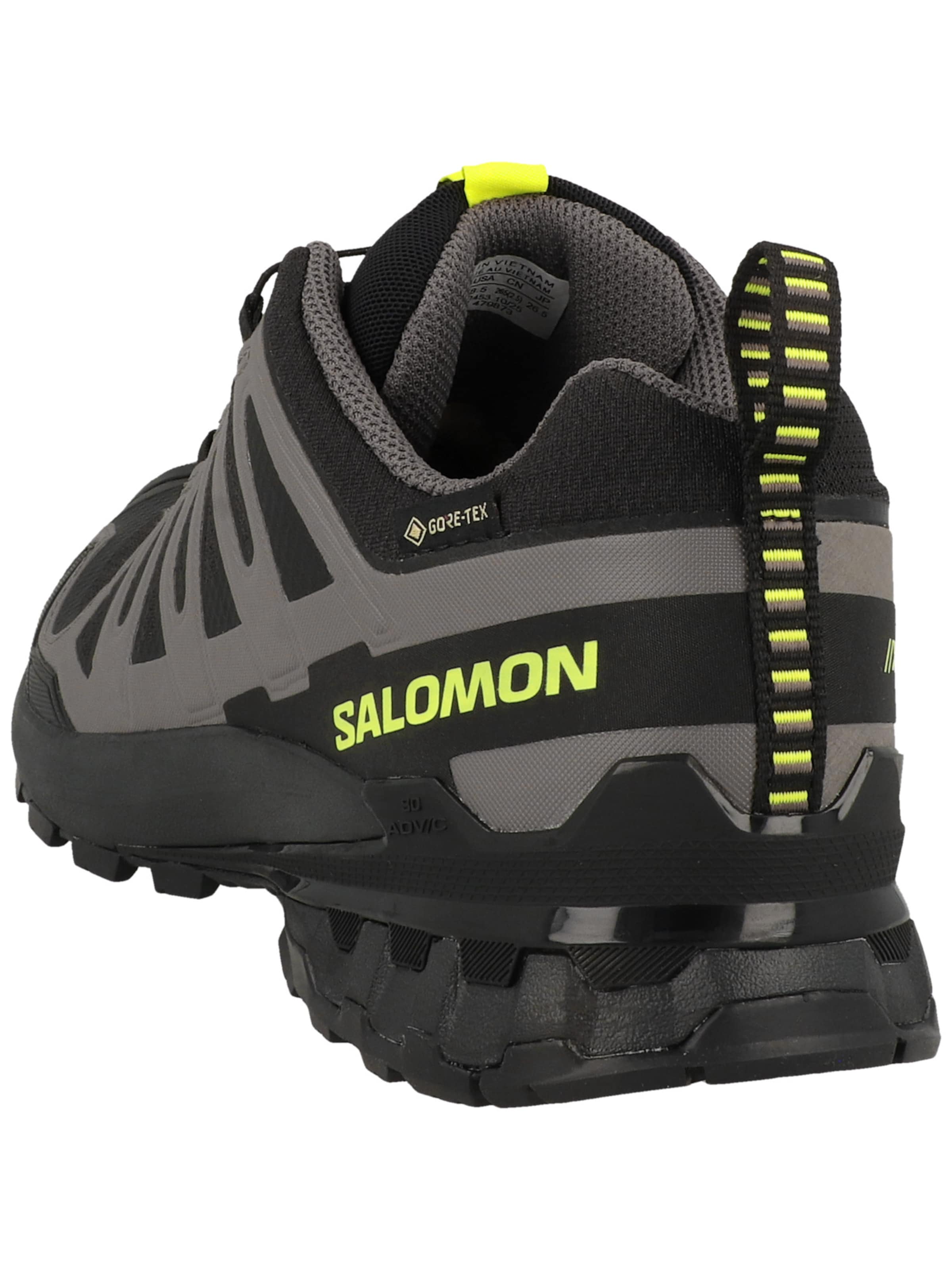 Chaussure de course 'XA Pro 3D V9' SALOMON en gris