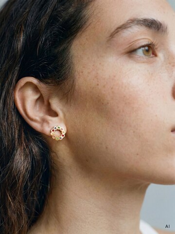 Tamaris Earrings in Gold