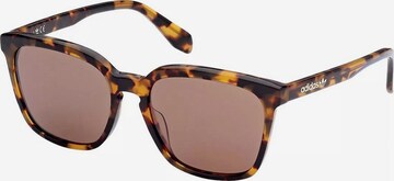 ADIDAS ORIGINALS Sunglasses in Brown: front