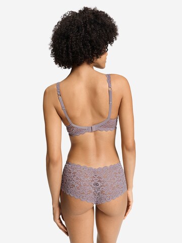 Triangle Soutien-gorge ' Moments ' Hanro en gris