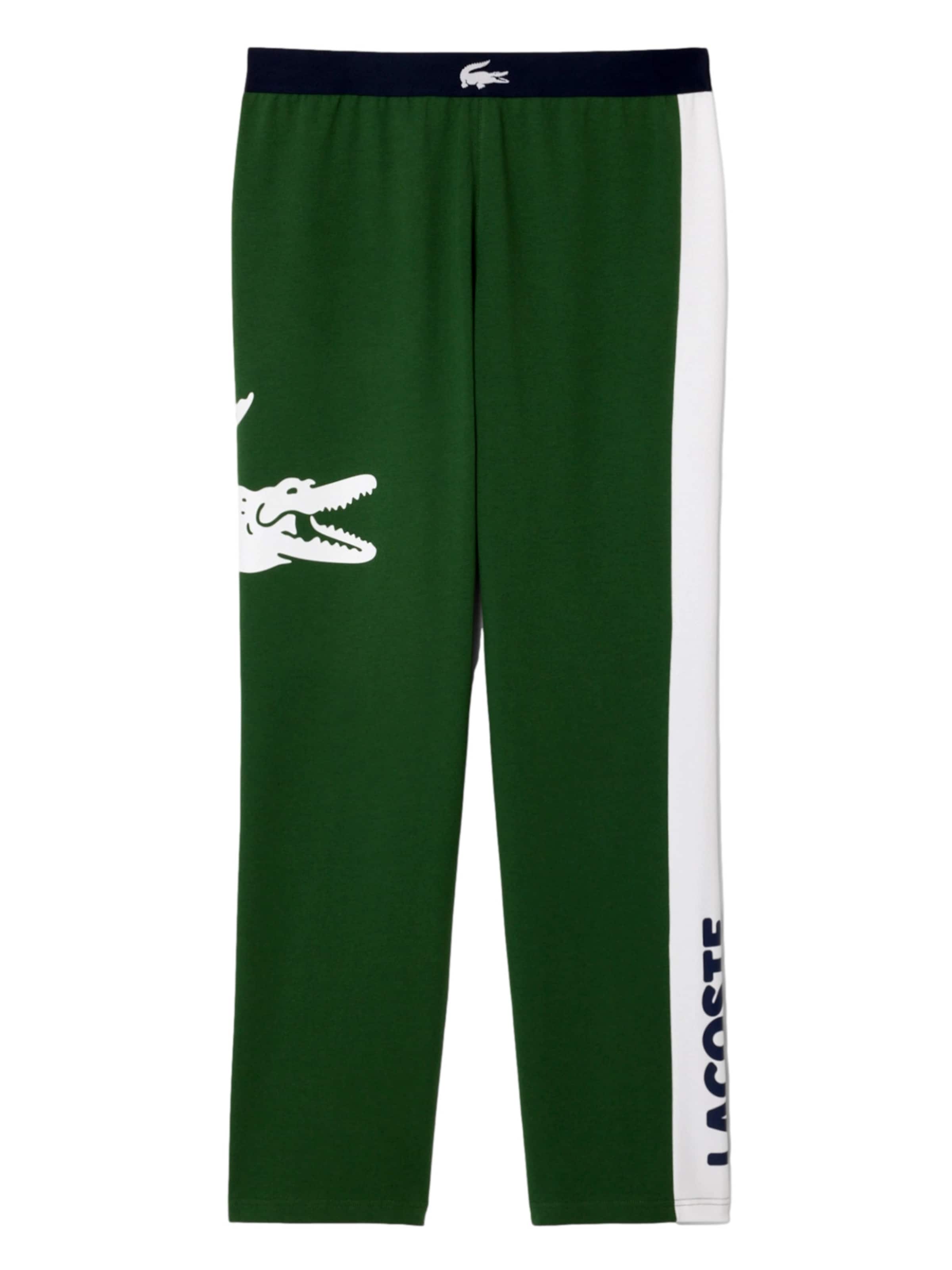 regular Pantaloni di LACOSTE in verde: frontale