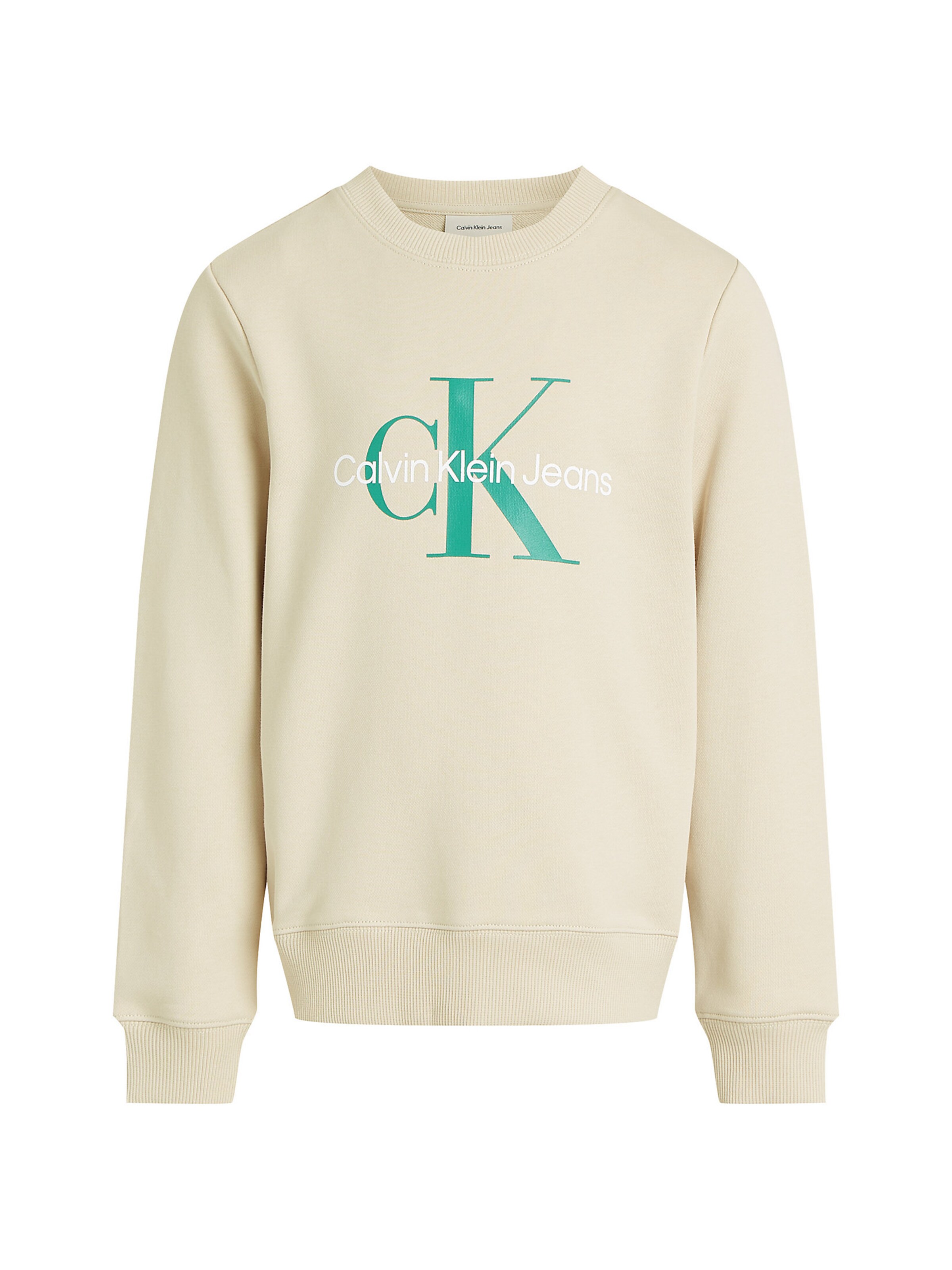 Sweat Calvin Klein Jeans en gris : devant