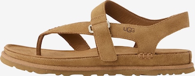 Šlepetės per pirštą 'GoldenGaze' iš UGG, spalva – karamelės, Prekių apžvalga