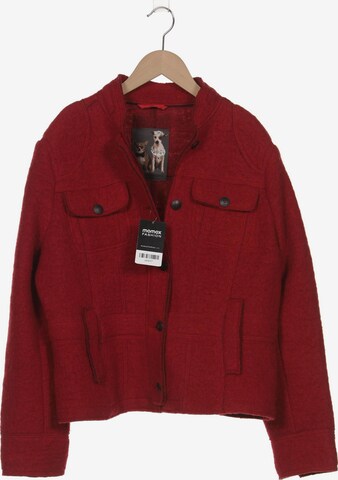 Frieda & Freddies NY Jacket & Coat in XXL in Red: front