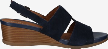 GEOX Sandals in Blue