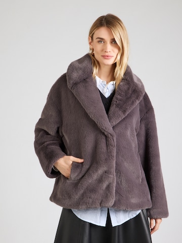 Ted Baker - Chaqueta de invierno 'FIELA' en gris: frente
