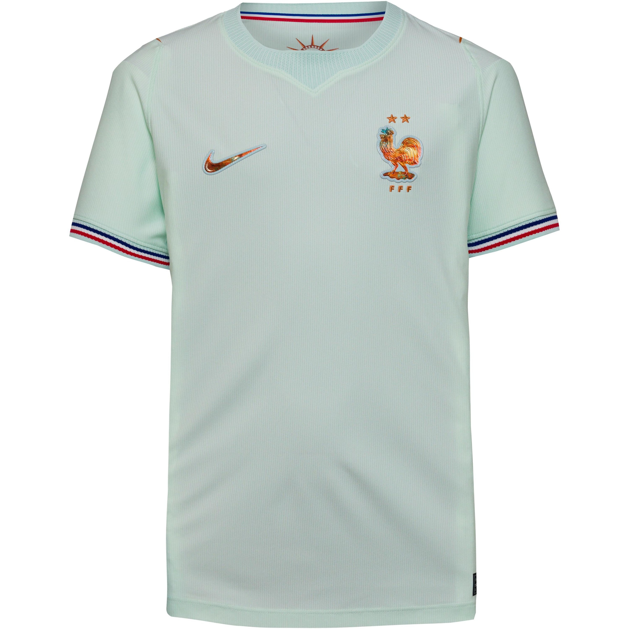 NIKE Performance Shirt 'Frankreich Away' in Green: front