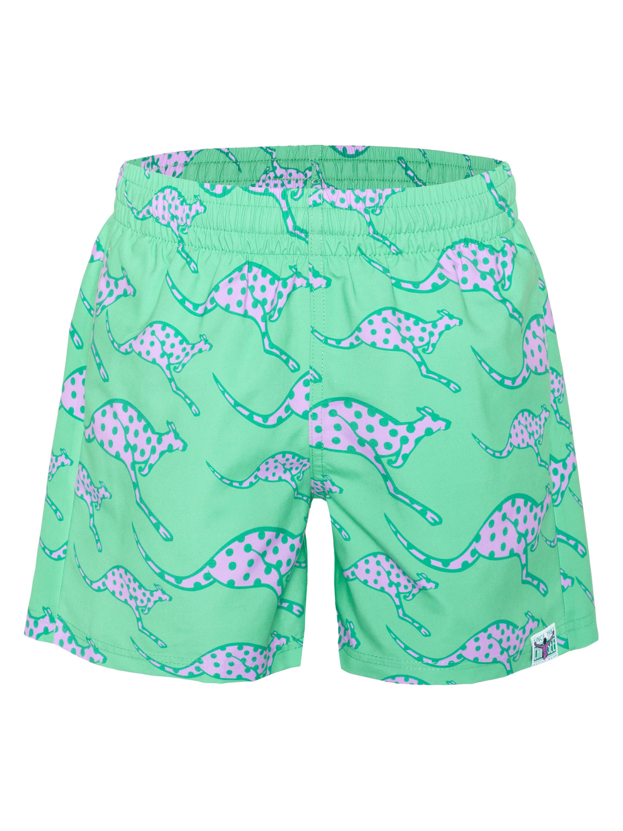 CHIEMSEE Athletic Swimwear in Green: front