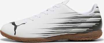 PUMA Soccer Cleats in White: front