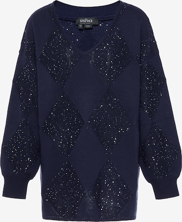 Pull-over usha BLACK LABEL en bleu : devant