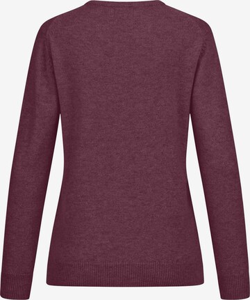 GIESSWEIN Pullover in Rot