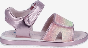 Richter Schuhe Sandals in Pink: front