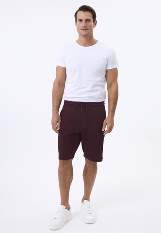 Felix Hardy Regular Broek in Rood
