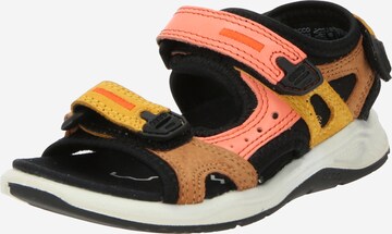 ECCO Sandals & Slippers 'X-TRINSIC K' in Orange: front