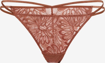 LSCN by LASCANA Stringi w kolorze brązowy: przód