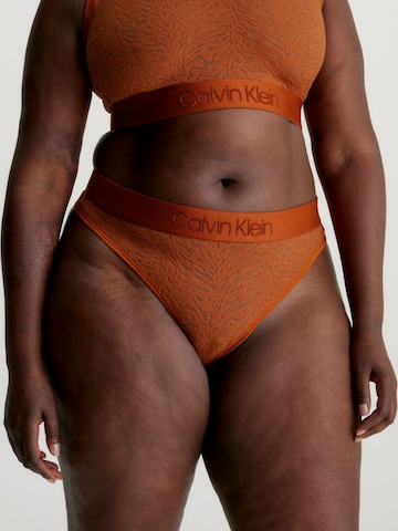 Calvin Klein Underwear Plus Thong in Brown: front