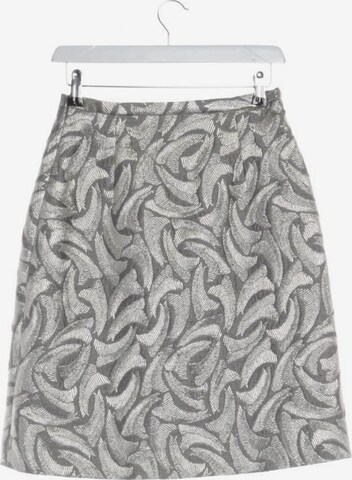 Windsor Skirt in XS in Silver