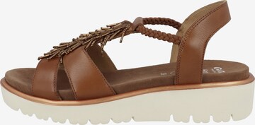 ARA Strap Sandals in Brown