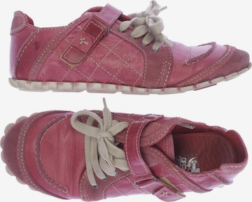 TIGGERS Sneakers & Trainers in 37 in Pink: front