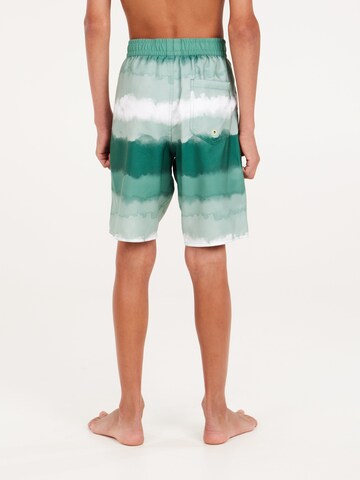 PROTEST Board Shorts 'PRTABEL JR' in Green
