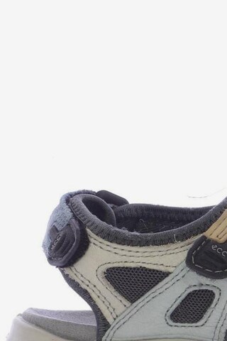 ECCO Sandals & High-Heeled Sandals in 36 in Grey