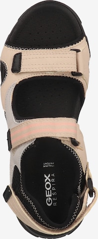 GEOX Hiking Sandals 'D Abyes C' in Beige