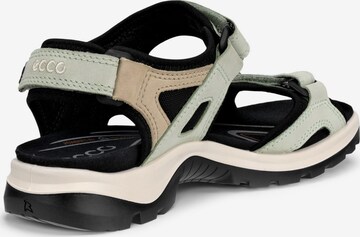 ECCO Wandelsandalen in Blauw