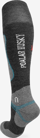 Polar Husky Knee High Socks in Mixed colors