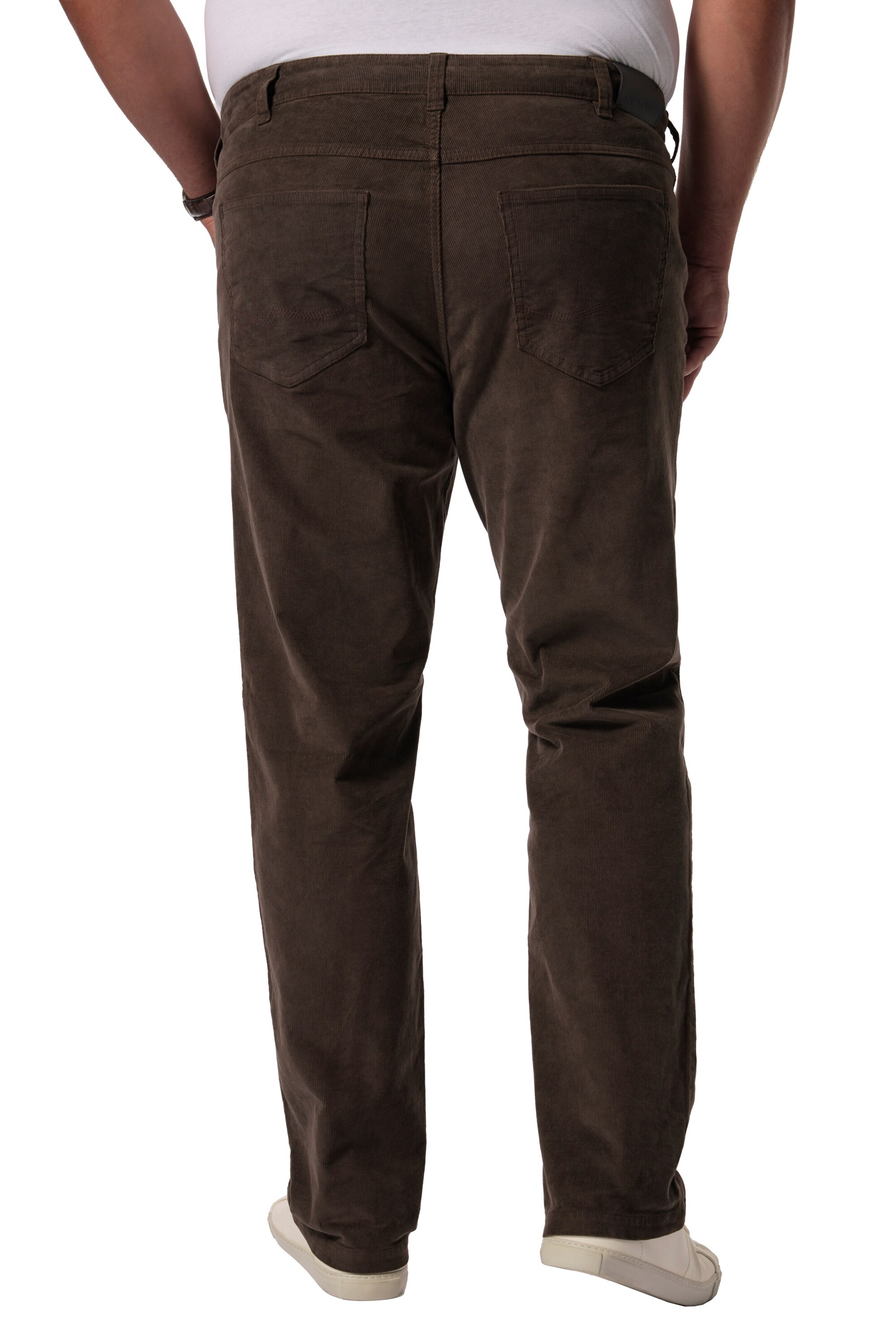 Men Plus Regular Broek in Bruin