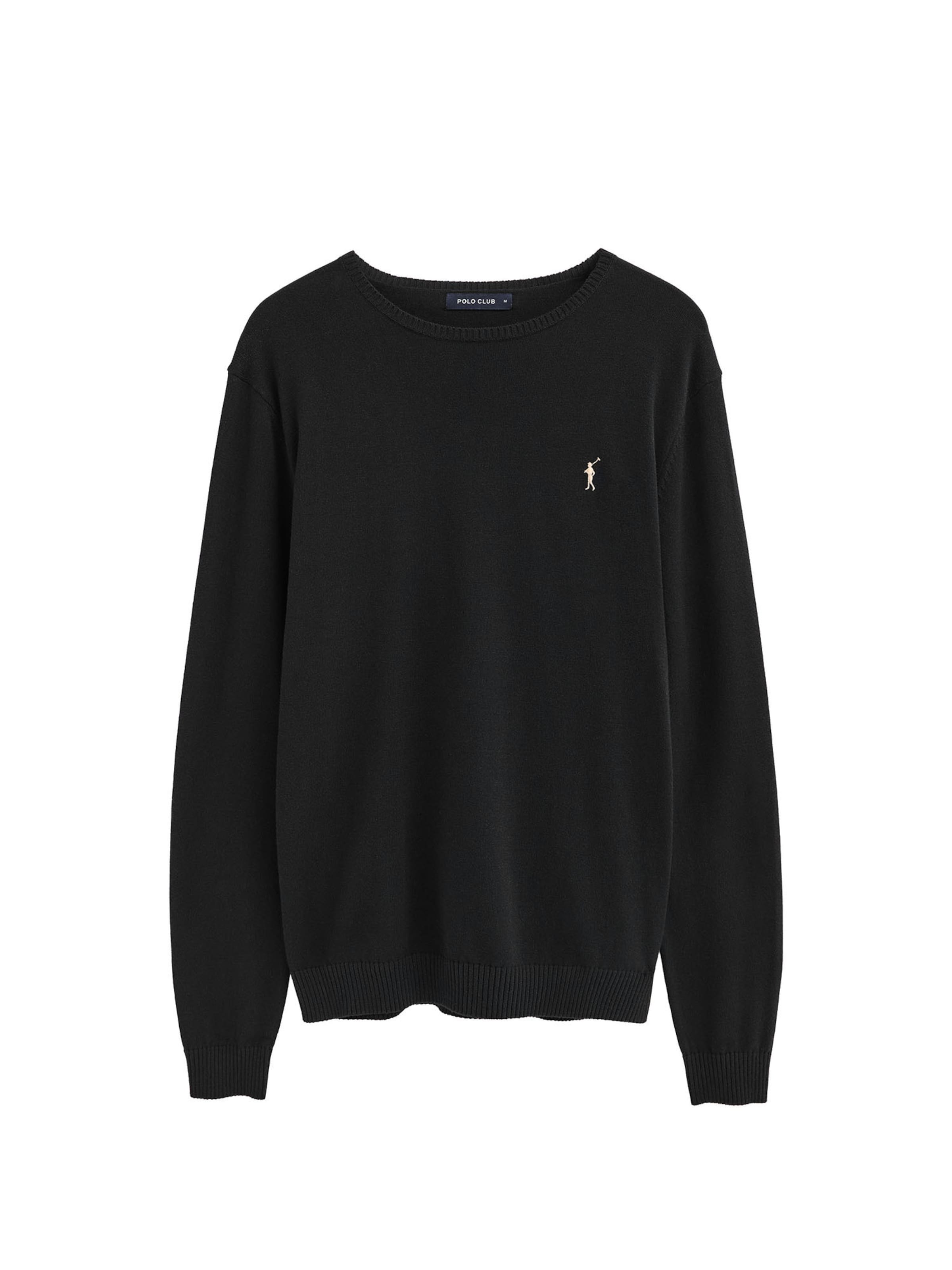 Polo Club Pullover 'Rigby' in Schwarz: Vorderseite