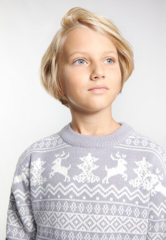 MO Sweater 'Mimo' in Grey