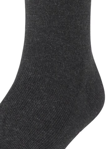 FALKE Socks in Grey