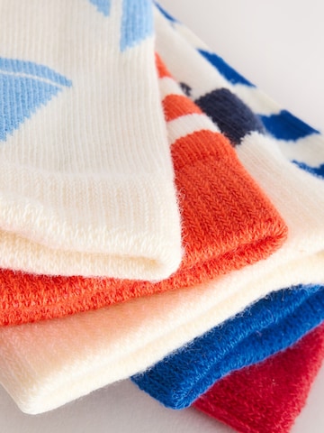 Next Socks in Blue