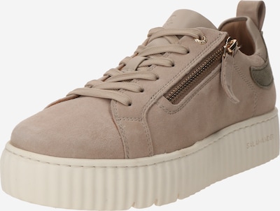 SALAMANDER Niske tenisice u taupe siva / tamo siva, Pregled proizvoda