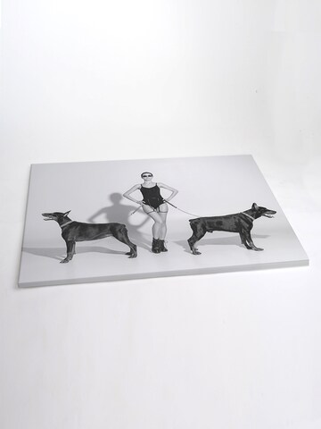 Liv Corday Bilder 'My Dogs' in Grau