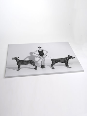 Liv Corday Image 'My Dogs' in Grey