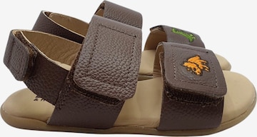 LIO&Friends Sandals 'LIO&friends - Kindersandale - Jungen - Barfußsandale - braun' in Brown: front