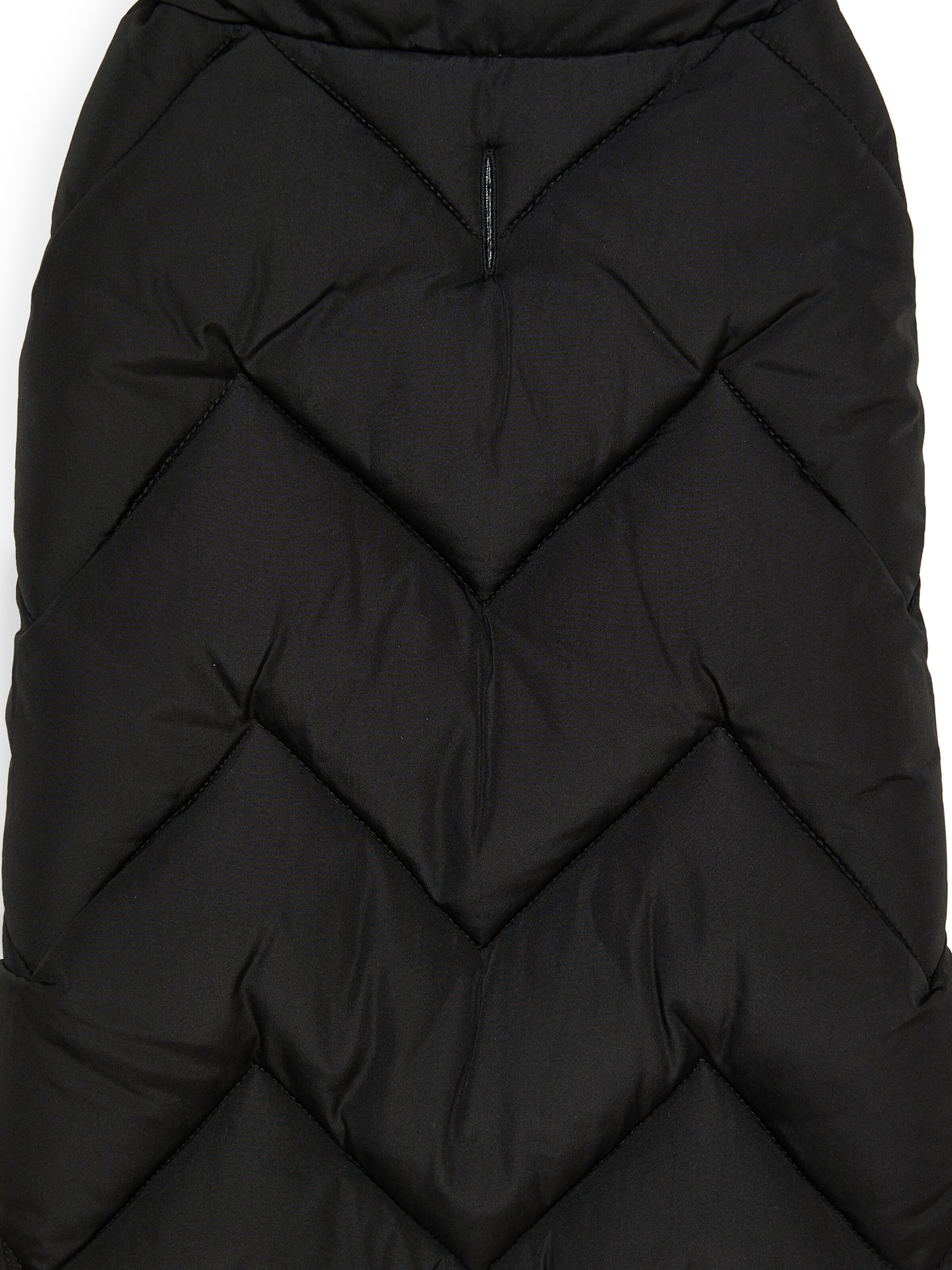 Threadbare Accessoires voor dieren in Zwart