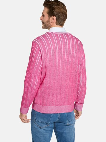 BABISTA Trui in Roze