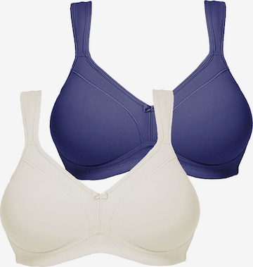 SUSA BH 'Topsy' in Mischfarben: Vorderseite