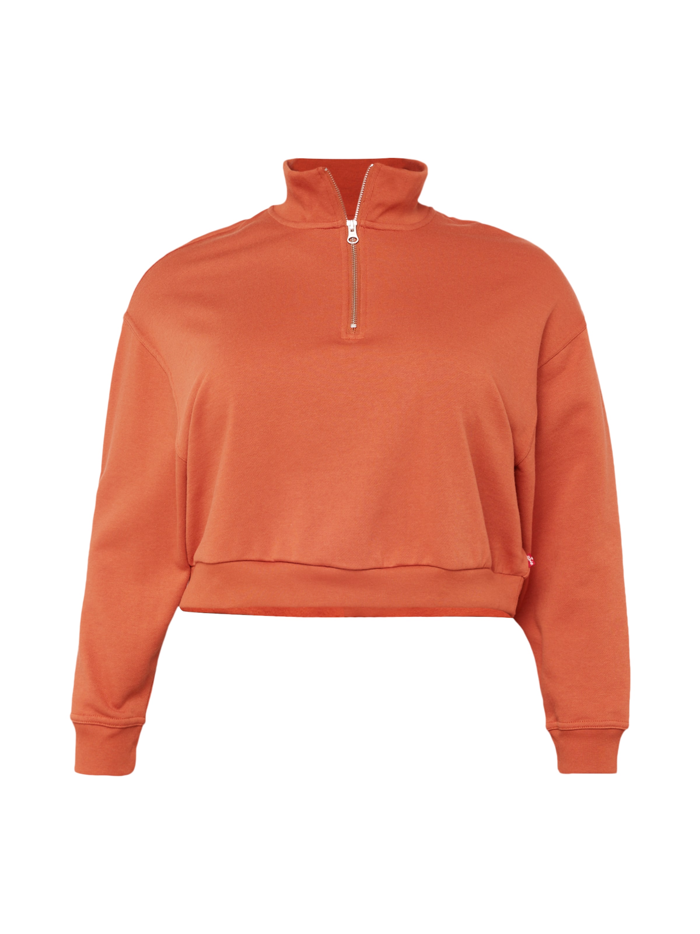 Felpa 'PL Cosmo 1/4 Zip' di Levi's® Plus in rosso: frontale