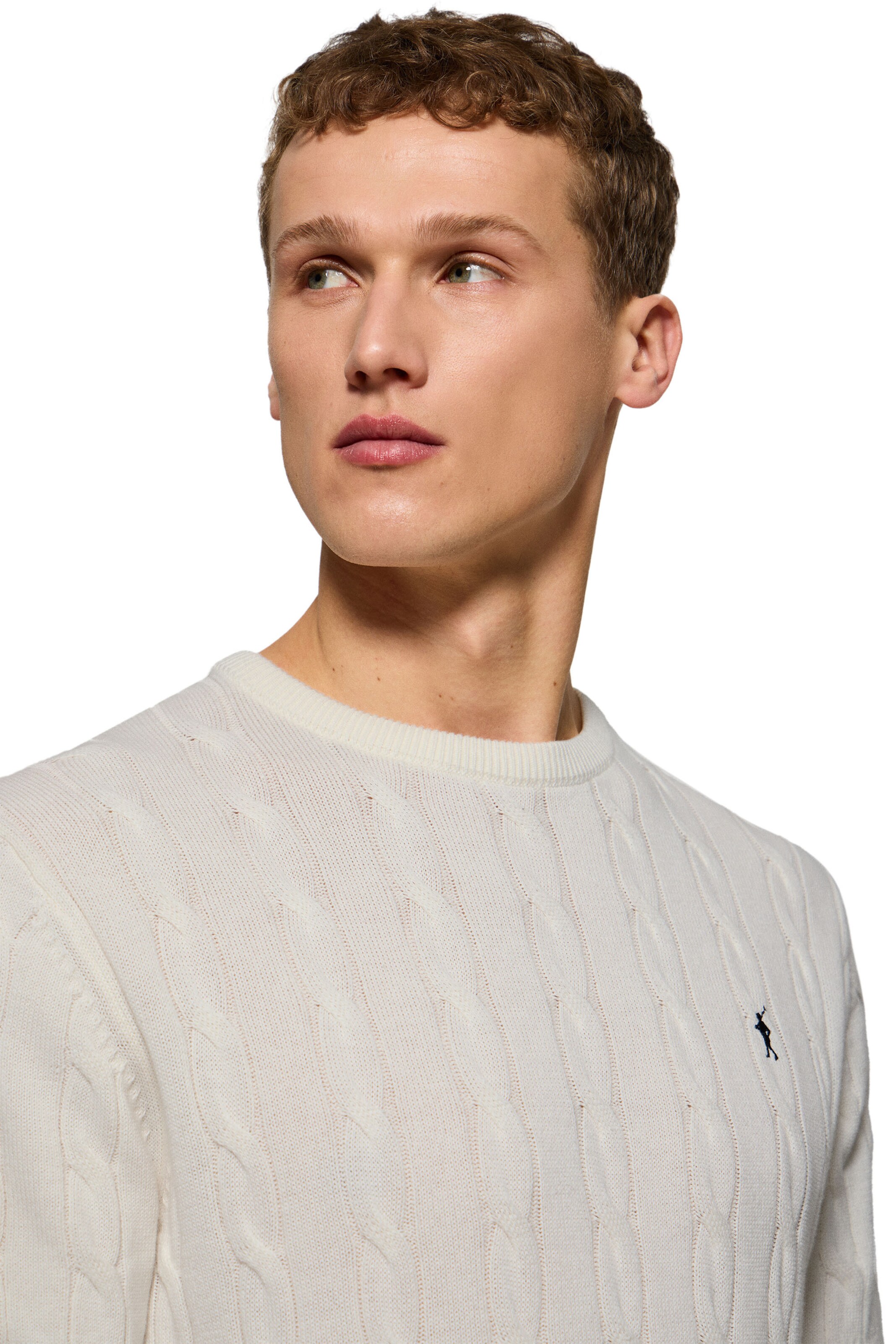 Polo Club Pullover in Beige