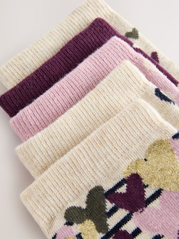 Next Socken in Beige