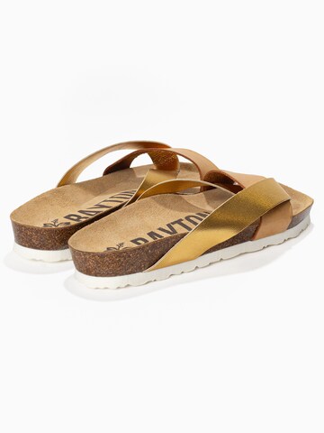 Zoccoletto 'Mildura' di Bayton in oro